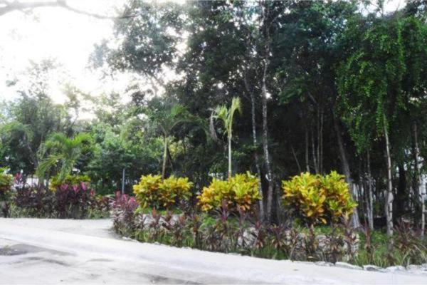 La Casa del Arbol Puerto Morelos Exterior foto